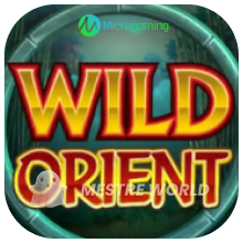 Microgaming298